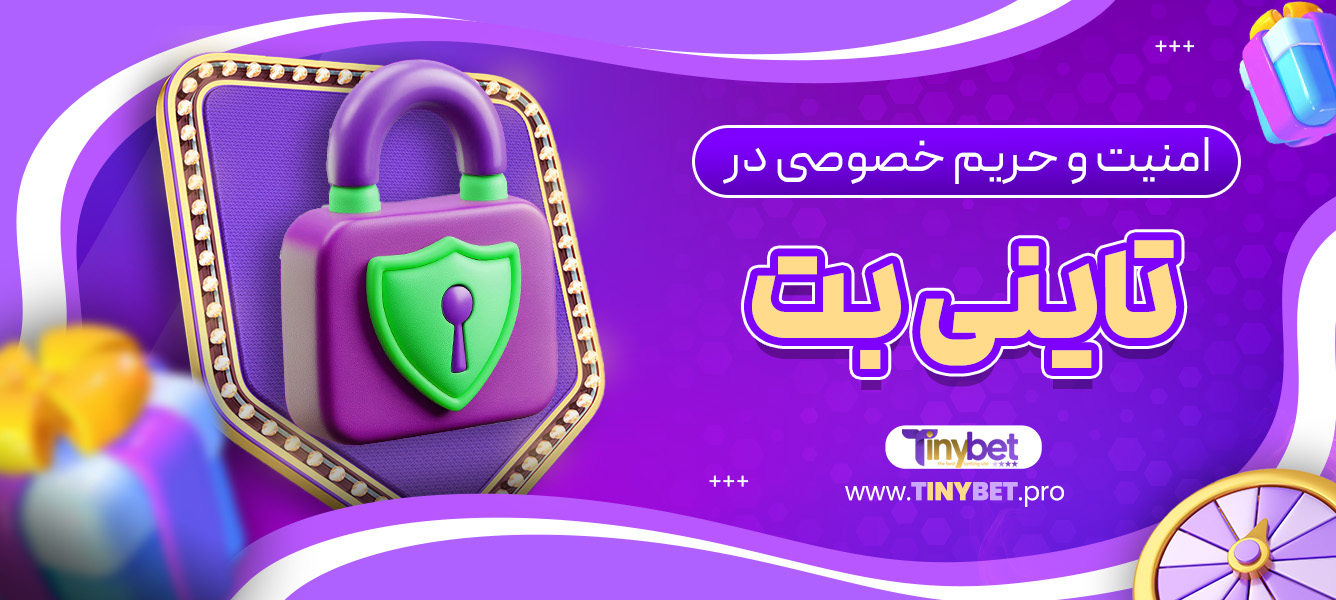 امنیت و حریم خصوصی در تاینی بت